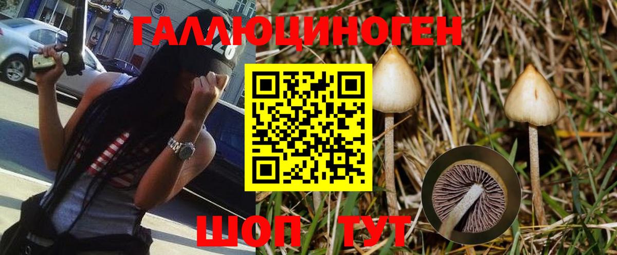 Галлюциногенные грибы мицелий  магазин продажи наркотиков  Вход с VPN  Жуковский  Псилоцибиновые грибы Magic Shrooms 